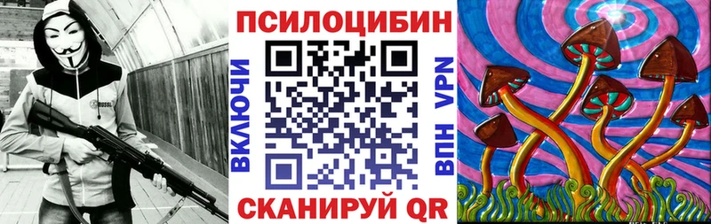 kraken рабочий сайт  продажа наркотиков  Болгар  Псилоцибиновые грибы Psilocybine cubensis 